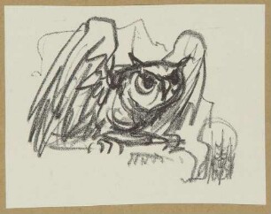 Eule