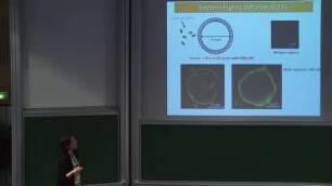 Membrane reshaping by curvature sensitive septin filaments