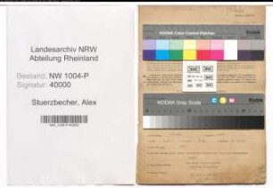 Entnazifizierung Alex Stuerzbecher , geb. 05.03.1910 ()