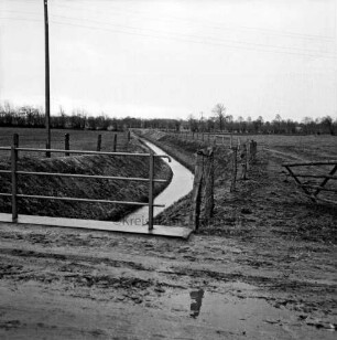 Tremsbüttel-Dorf: Grootbek: Regulierung: vorn Wirtschaftsweg mit Geländer: im Hintergrund Baum- und Gehölzreihe