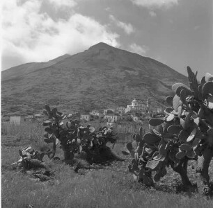 Stromboli, Blick auf Ort und Vulkan mit Feigenkakteen