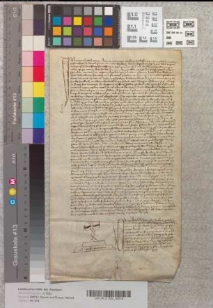 Notariatsinstrument betreffend einen Vergleich der Vikarie der Kirche von St. Johann und Dionys.