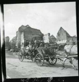 Arbeitsmaid des Reichsarbeitsdienstes auf einem Ochsengespann im evakuierten und zerstörten Haltingen am Westwall