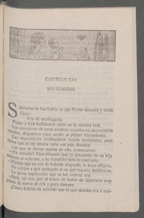 Capítulo XXV - Sin remedio