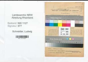 Entnazifizierung Ludwig Schneider , geb. 20.08.1894 (Amtsrentmeister)