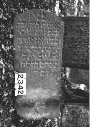 Grabstein 2342