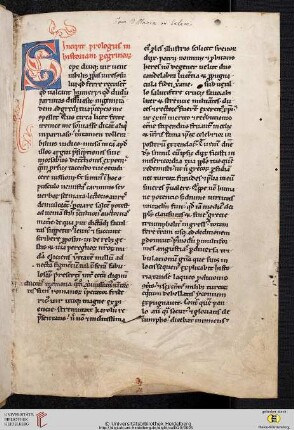 Historia Peregrinorum