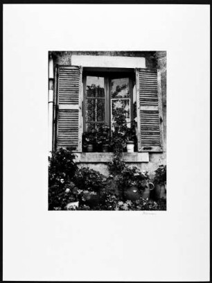 Blumenfenster in La Borne, dem Dorf der Töpfer