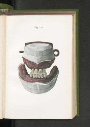 Fig. 255.