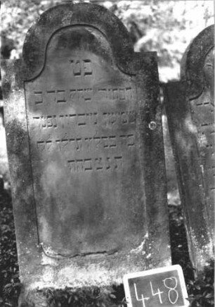 Grabstein 448 (Index: 99895634) Material: Sandstein Zustand: sehr gut Maße HxBxT: 130x64x10 cm Beschreibung: Stele mit eingezogenem Rundbogenabschluss: Grabstein 448
