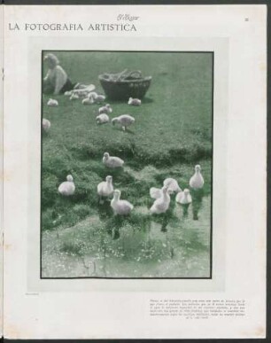 La fotografía artística