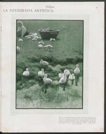 La fotografía artística