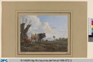 Der Stier