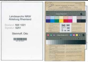 Entnazifizierung Otto Steinhoff, geb. 27.11.1893 (Betriebsführer)