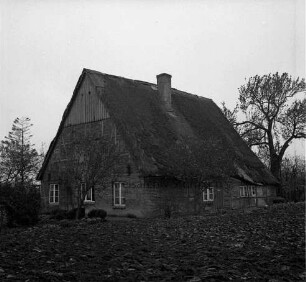 Bauernhaus mit Reetdach: vorn Garten mit Hecke und Bäumen