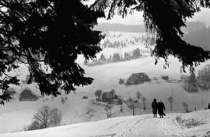 Rudenberg: Weg am Wald nach Rudenberg