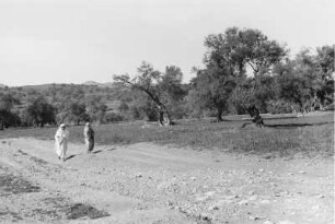 Frauen auf der Landstraße (Libyen-Reise 1938)