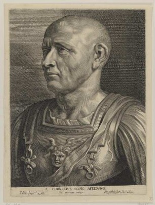 Bildnis des Cornelivs