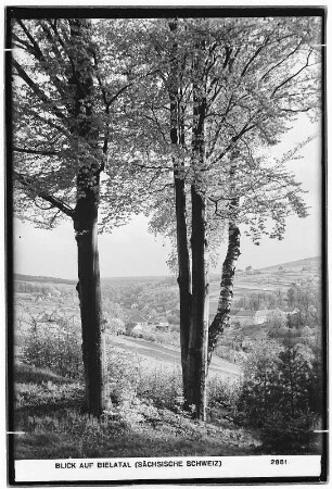 Blick auf Bielatal
