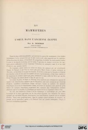 XIV: Mammifères