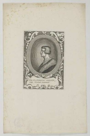 Bildnis des Ruprecht Haller