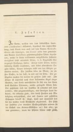 V. Insekten.