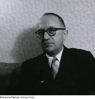 Portraitserie Walter Hallstein