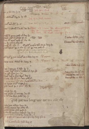 Privilegia et statute ordinis Cisterciensis - Provinzialbibliothek Amberg Ms. 49