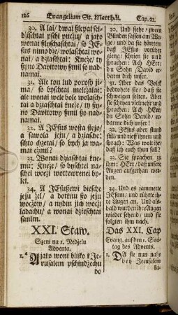 XXI. Staw./ Das XXI. Cap. - XXVIII. Staw./ Das XXVIII. Cap.