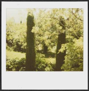 Garten in Puy-Saint-Martin