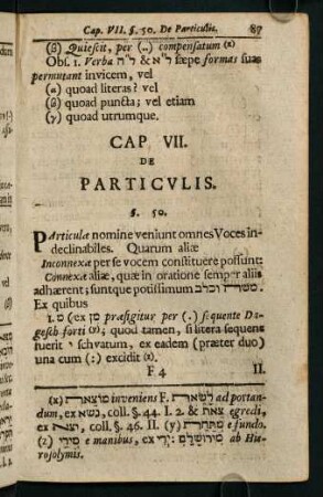 87-89, Cap. VII. de Particulis.