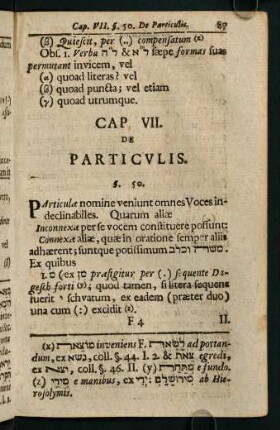 87-89, Cap. VII. de Particulis.
