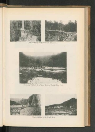 Timber Felling in the Keisanchin mountain.