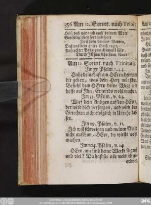 Am 12. Sonnt. nach Trinitatis.