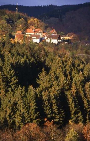 Der Harz - Wald und Häuser im Südharz : Südharz bei Herzberg. Aufgenommen im Harz ca. 1995