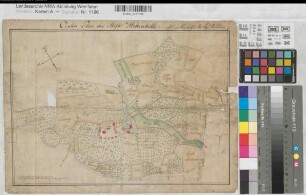 Hohenholte (Havixbeck) Lageplan und Ländereien des Stifts 18.Jh. 100 rh. Ruten = 6,3 cm 28 x 40 kol. Zeichnung Bem.: Vermerk "gehört zur Registratur der Forst Inspektion" restauriert KSM Nr. 697