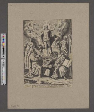[Transfiguration]