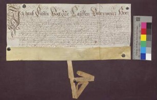 Kaufbrief des Mathis Sigrist, Bürgers zu Britzingen, für Hans Madlener, Bürger zu St. Ilgen, über Reben im Bann von St. Ilgen.