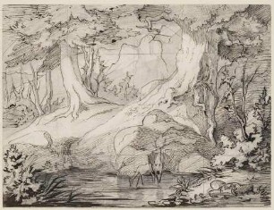 Waldteich mit Hirsch und Hirschkuh