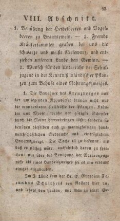 VIII. Abschnitt.