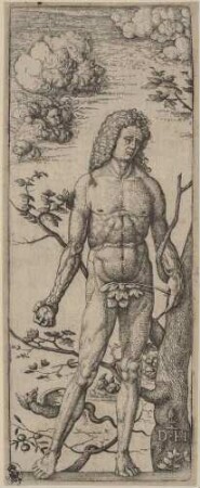 Adam