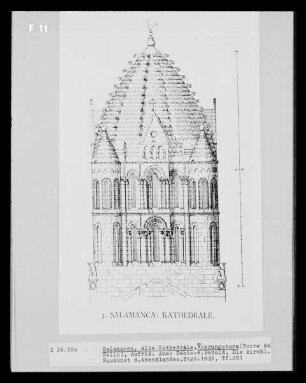 Catedral Vieja in Salamanca: Torre del Gallo