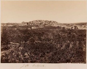Jaffa, pris des jardins (Palestine)