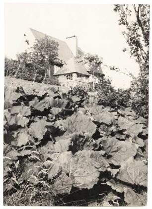 Garten Friedrich Emil Krauß, Schwarzenberg: Blick hinauf zum Haus