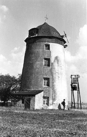 Thümmlitzwalde-Nauberg. Turmholländer
