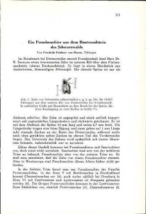 Ein Pseudosuchier aus dem Buntsandstein des Schwarzwalds
