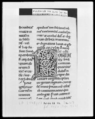 Bernhard von Clairvaux, Sermones in Cantitum Canticorum — Initiale N (ovum), Folio 195 verso