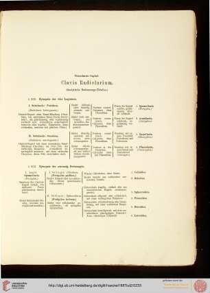 14. Clavis Radiolarium