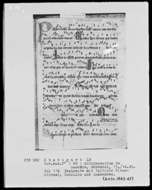 Antiphonarium de Sanctis (Zisterzienserhandschrift) — Initiale P(raeclarum), Folio 118recto