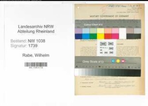 Entnazifizierung Wilhelm Rabe , geb. 26.07.1903 (Ingenieur)